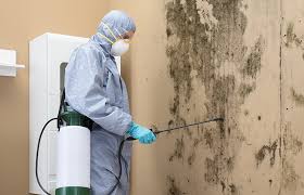 Mold Removal for HVAC Installations in Pequot Lakes, MN